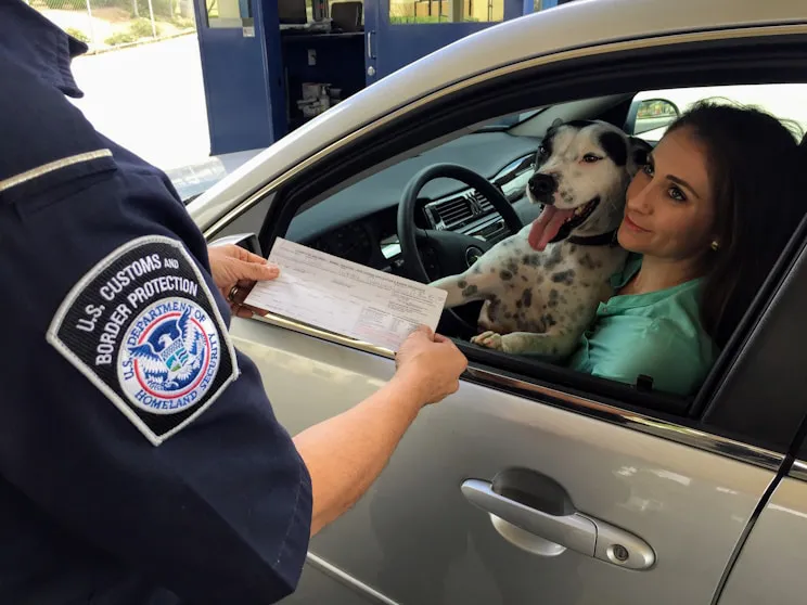 Why Was Your License Suspended